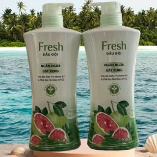 DẦU GỘI NGĂN GÃY RỤNG TÓC FRESH TINH CHẤT BƯỞI 650G