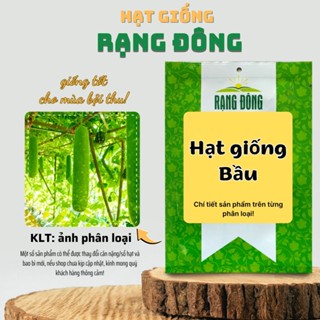 Hạt giống Bầu trồng quanh năm, sinh trưởng khỏe, trái đậu nhiều, ít sâu bệnh - Hạt giống Rạng Đông