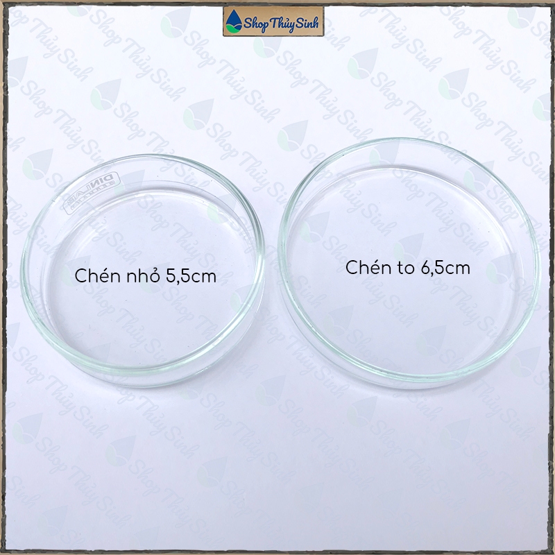 Chén thủy tinh đựng thức ăn cho tép cảnh