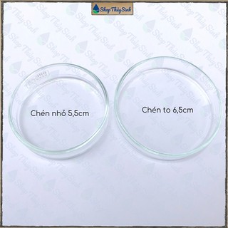 Chén thủy tinh đựng thức ăn cho tép cảnh