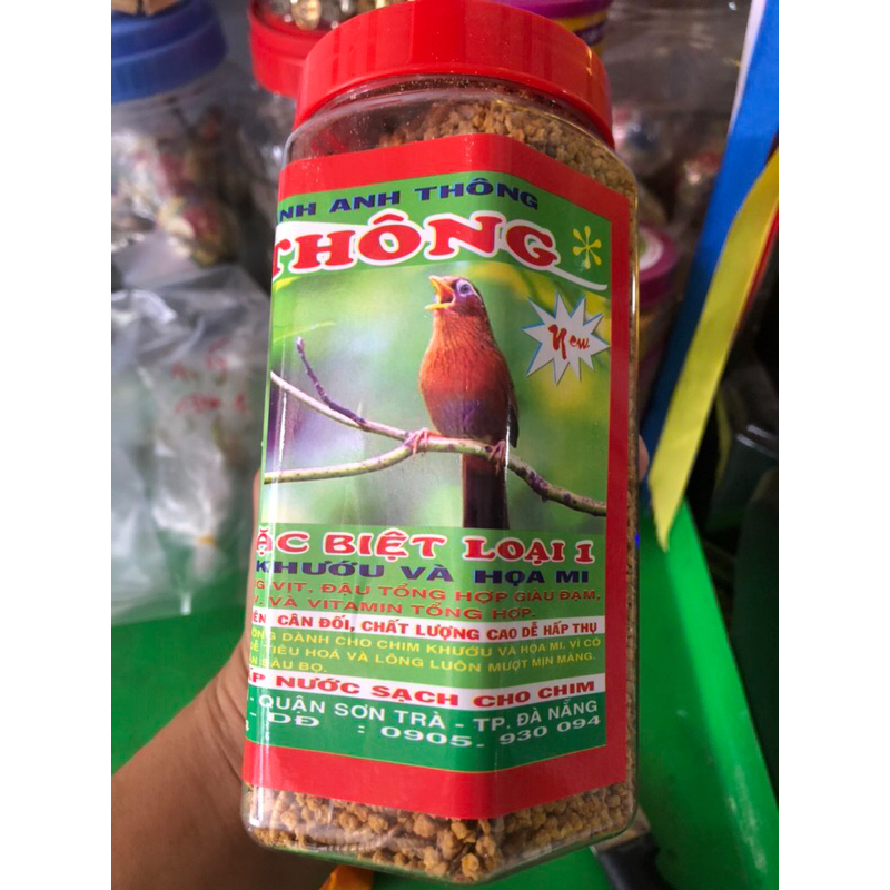 CÁM CHIM KHƯỚU MI ANH THÔNG (chinh hãng)