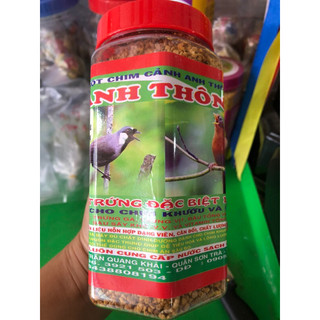 CÁM CHIM KHƯỚU MI ANH THÔNG (chinh hãng)