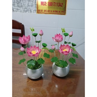 Chậu hoa sen đất sét cao 25cm
