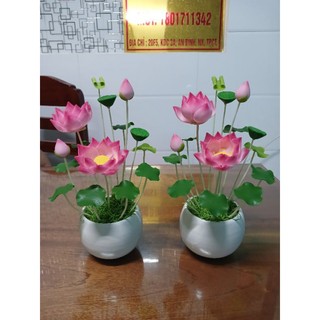 Chậu hoa sen đất sét cao 25cm