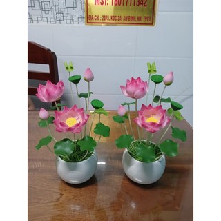 Chậu hoa sen đất sét cao 25cm
