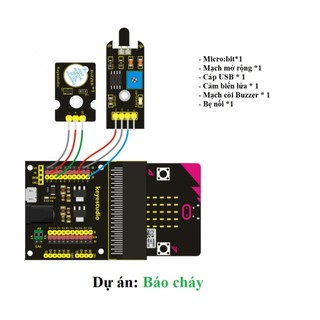 Bộ Công Cụ Học Tập Thực Hành BBC Micro:bit V2 nâng cao - Microbit Advanced Kit