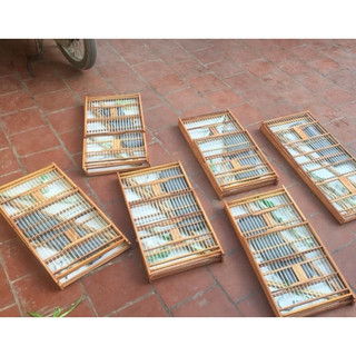  Khung lồng lực gỗ nan cáp cho chim chào mào Xưởng Lồng Chim Bảo Anh Lồng tre già trúc già siêu dễ ráp - chắc chắn 