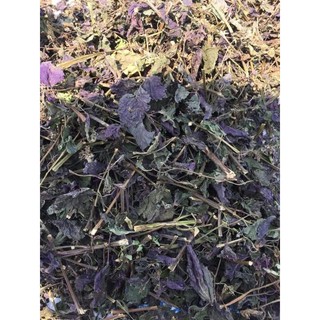100gr Tía tô khô sạch thơm