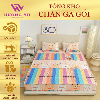Chiếu điều hòa cao su non bo chun 5d mẫu mới 2024
