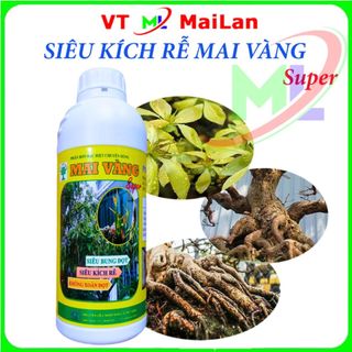 Siêu kích rễ bung đọt cực mạnh mai vàng HaLo
