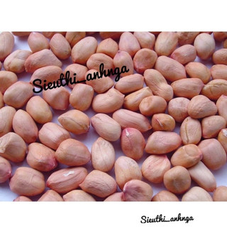 1 kg - 500g hạt lạc quê bóc tay to ngon