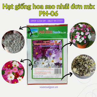 Hạt giống hoa sao nhái đơn mix Phú Nông (Vườn Sài Gòn - Vuon Sai Gon) hạt giống chắc khỏe, tỉ lệ nẩy mầm cao