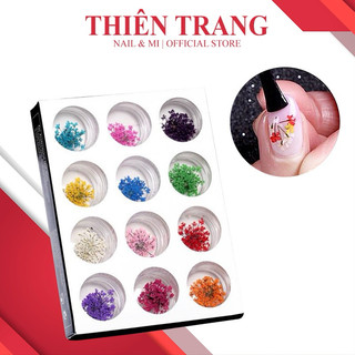 Sét hoa khô ẩn bột gel - Combo 12 hủ hoa khô mix nhiều màu và 2 màu trang trí móng siêu đẹp