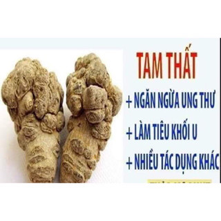 250g -500g củ tam thất