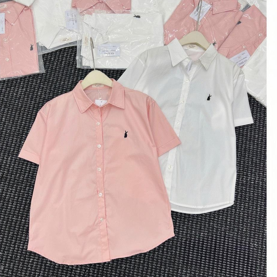 Áo Sơ Mi Nữ Cộc Tay Thêu Thỏ Xinh, Áo Sơ Mi Nữ Phong Cách Hàn Quốc Dễ Thương | BigBuy360 - bigbuy360.vn