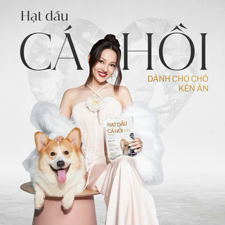 [ Mua 1 tặng 1 ] HẠT KING PET DÀNH CHO CHÓ KÉN ĂN, THƠM NGON [ 350 GRAM ]