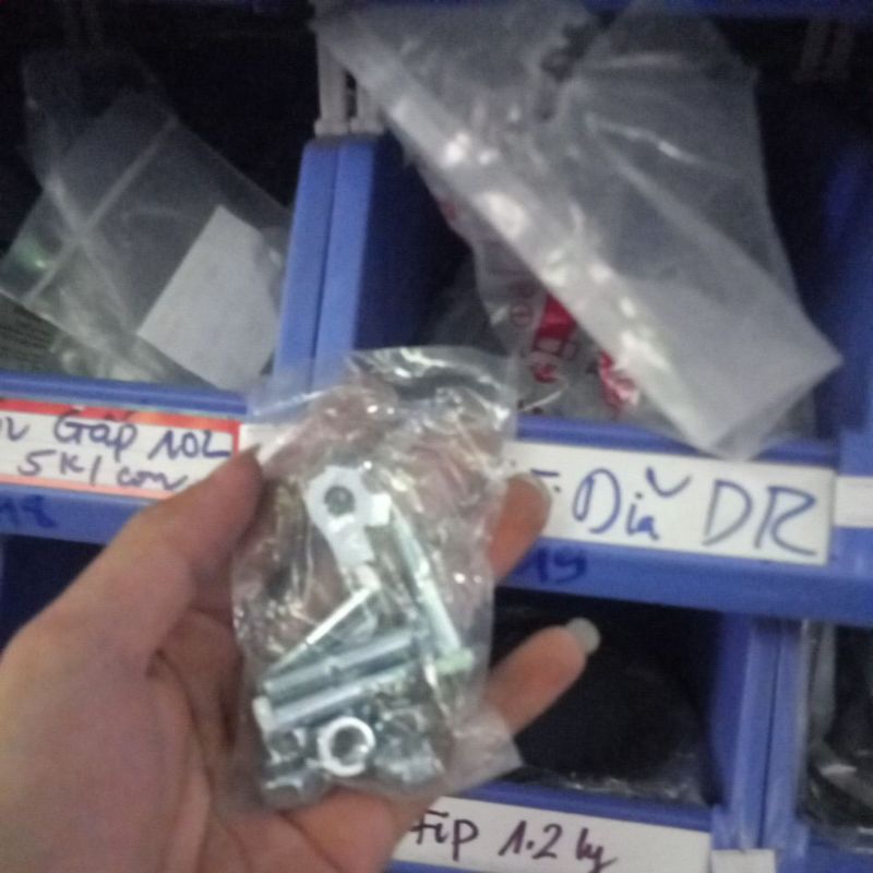 Ốc Cùi Dĩa Dream