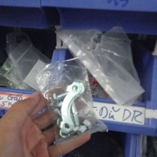 Ốc Cùi Dĩa Dream