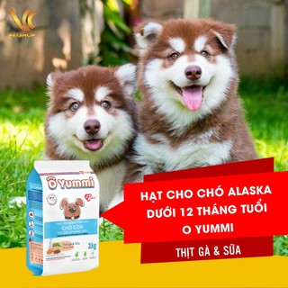 Thức ăn hạt cho chó alaska con | hạt cho chó alaska trưởng thành o yummi | vc pet shop