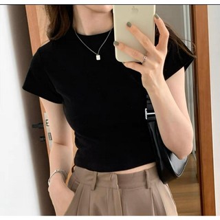 Áo phông dáng babytee bo cổ 3 màu đen ghi trắng Mailily Store