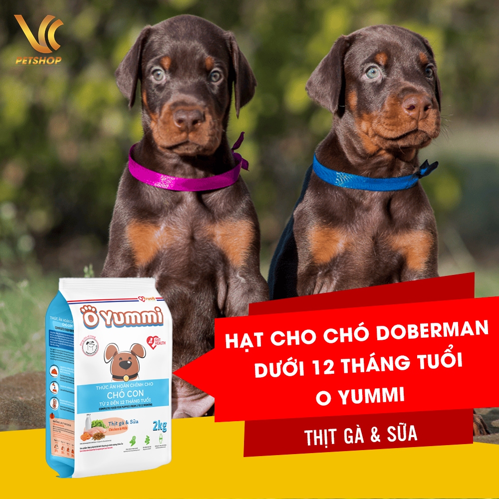 Thức Ăn Hạt Cho Chó Doberman Con | Hạt Cho Chó Doberman Trưởng Thành O Yummi | VC Pet Shop