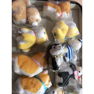 gấu bông chó amuse nhật