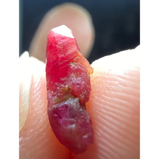 Ruby tinh thể bé, màu đỏ cực đẹp, 1.5ct