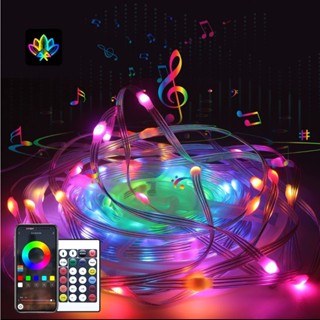  Đèn Led Cuộn nháy đuổi 10M 20M - Dây đèn LED trang trí RGB 5V Cổng USB nháy theo nhạc  kèm điều khiển 