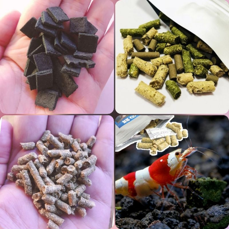 Thức Ăn TÉP CẢNH | Cám Tép - Giúp Tép Lên Màu Đẹp