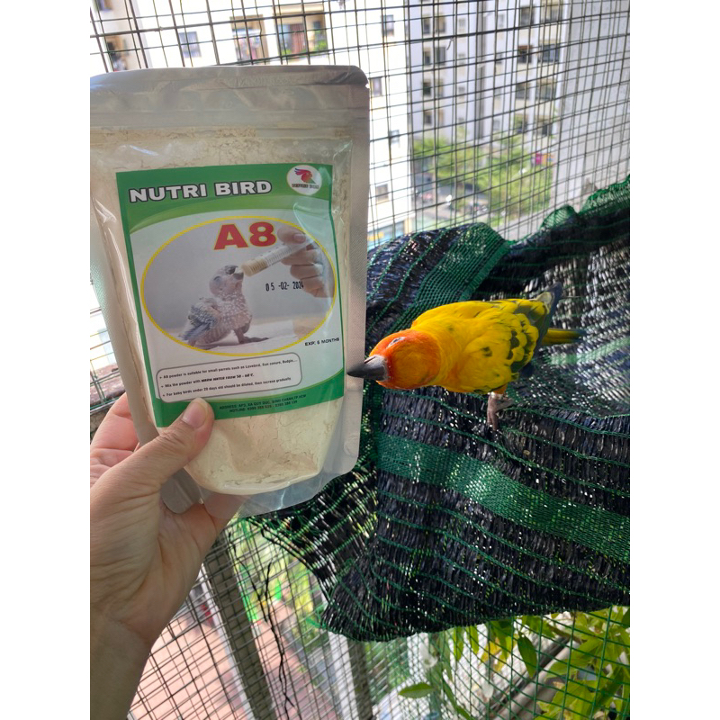 Bột A8 cho vẹt non