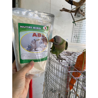 Bột A8 cho vẹt non