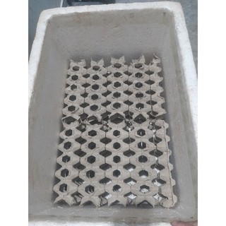 Vỉ trứng gà sét 10 cái