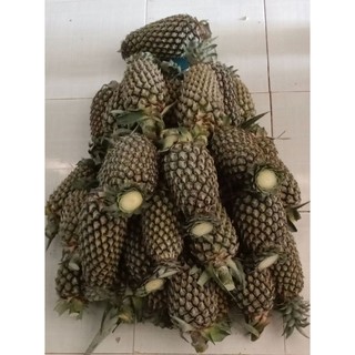 Khóm sấy muối ớt (khóm đã loại bỏ cùi bên trong)hộp 100g