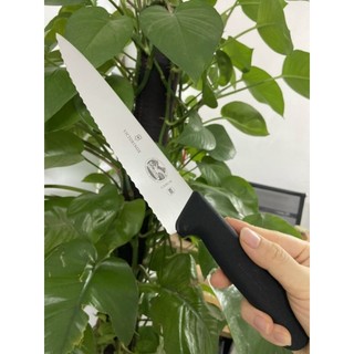 Chính hãng dao bếp victorinox 19cm-22cm