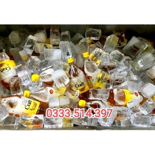 [combo 3chai] bia Tươi CRAFT