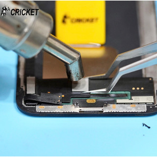 Bank Đa Chiều Cricket