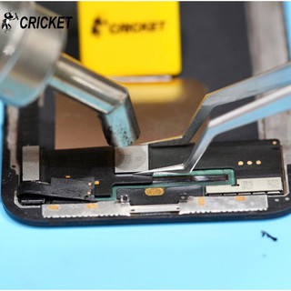 Bank Đa Chiều Cricket