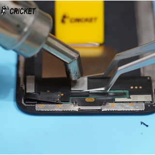 Bank Đa Chiều Cricket