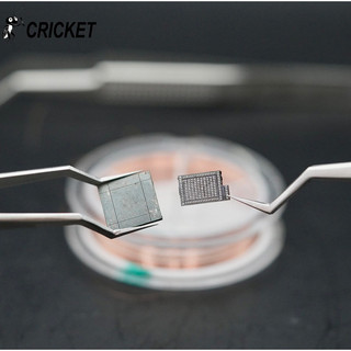 Bank Đa Chiều Cricket