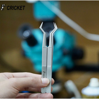 Bank Đa Chiều Cricket