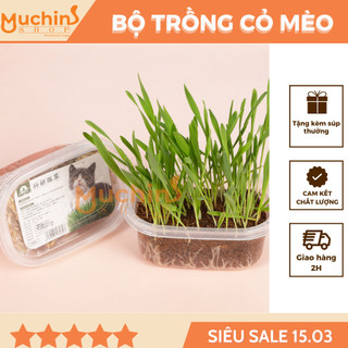 Bộ trồng cỏ mèo dễ dàng, nhanh chóng giúp cung cấp chất xơ, loại bỏ búi lông | Muchinshop