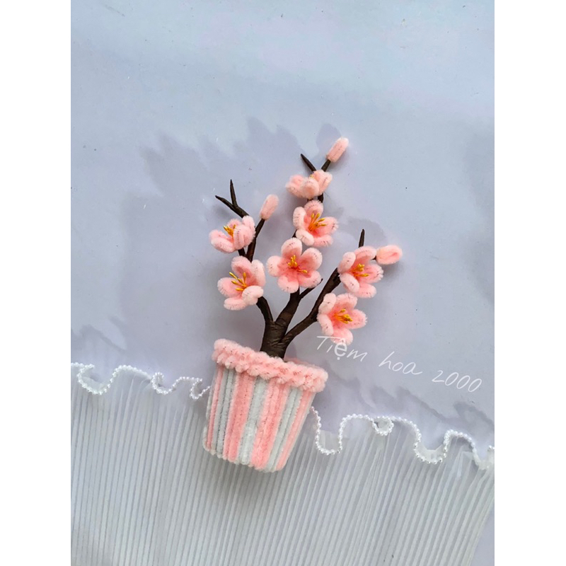 chậu hoa đào Hồng bằng kẽm nhung mini