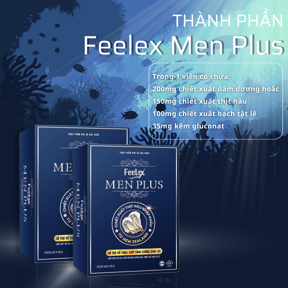 Viên uống tăng sinh lý Feelex Men Plus, tác dụng nhanh chóng an toàn - hộp 60 viên