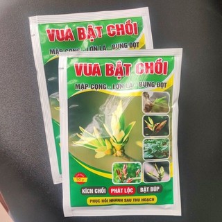 VUA BẬT CHỒI,kích mầm bung đọt - 50gr