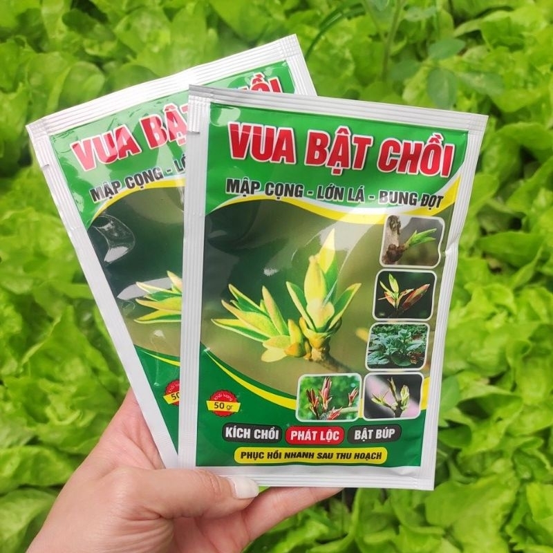 VUA BẬT CHỒI,kích mầm bung đọt - 50gr