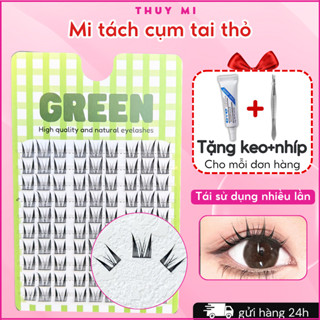 Mi Giả Tách Cụm Tai Thỏ Mắt Ướt Douyin Chùm Tự Nối Thuỷ Mi GREEN (Tặng 1 keo nhíp cho 1 đơn hàng)