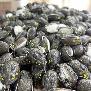 Mồi câu chuyên câu lure cóc lk