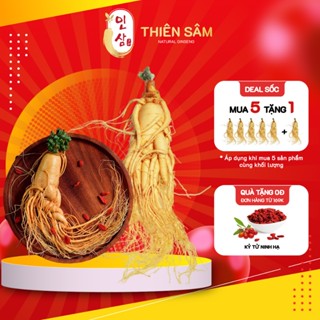 Nhân Sâm Tươi Hàn Quốc Đến 20 Năm Tuổi - Sâm Tươi Có Hoa Thu Hoạch Geaumsan Korea Thượng Hạng Cho Sức Khỏe - Thiên Sâm