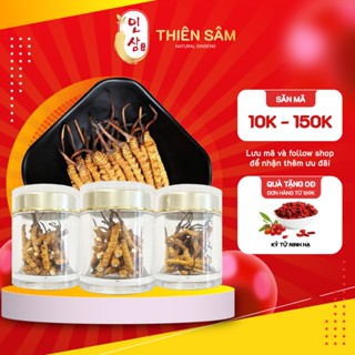 5 Gram Đông Trùng Hạ Thảo Bhutan Gãy - Đông Trùng Bhutan Thượng Phẩm Tự Nhiên - Thực Phẩm Vàng Cho Sức Khỏe - Thiên Sâm