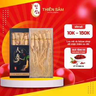Nhân Sâm Khô Cát Lâm - Nhân Sâm Núi Trường Bạch Hộp Siêu To - Hộp Quà Bạch Sâm Cát Lâm Có Túi Cực Sang Trọng - Thiên Sâm